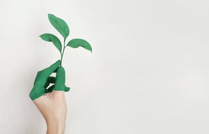 Green Marketing Triumphs: How Sustainable Swag is Shaping a Brighter Future
