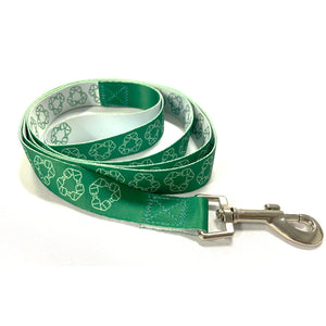 RPET DOG LEASH