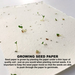 Corn Poppy Seed Sticky Note Pad