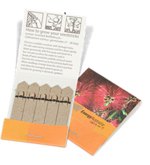 10 Seedstick Pack - New Age Promotions